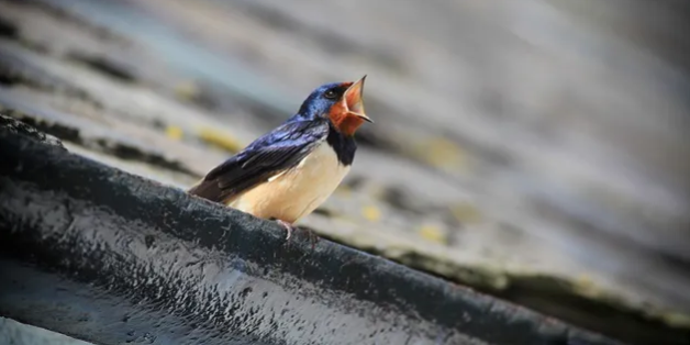 Screenshot 2024-07-23 135918