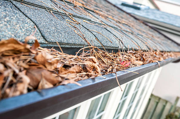 clogged gutters