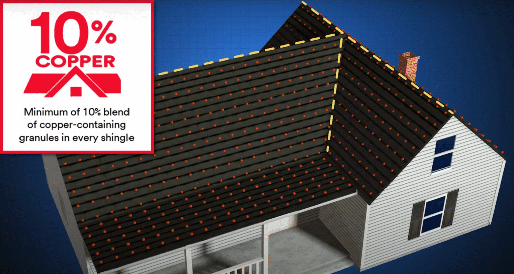 atlas copper particles preventing algae and streaks