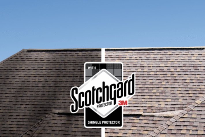 black streaks caused by algae